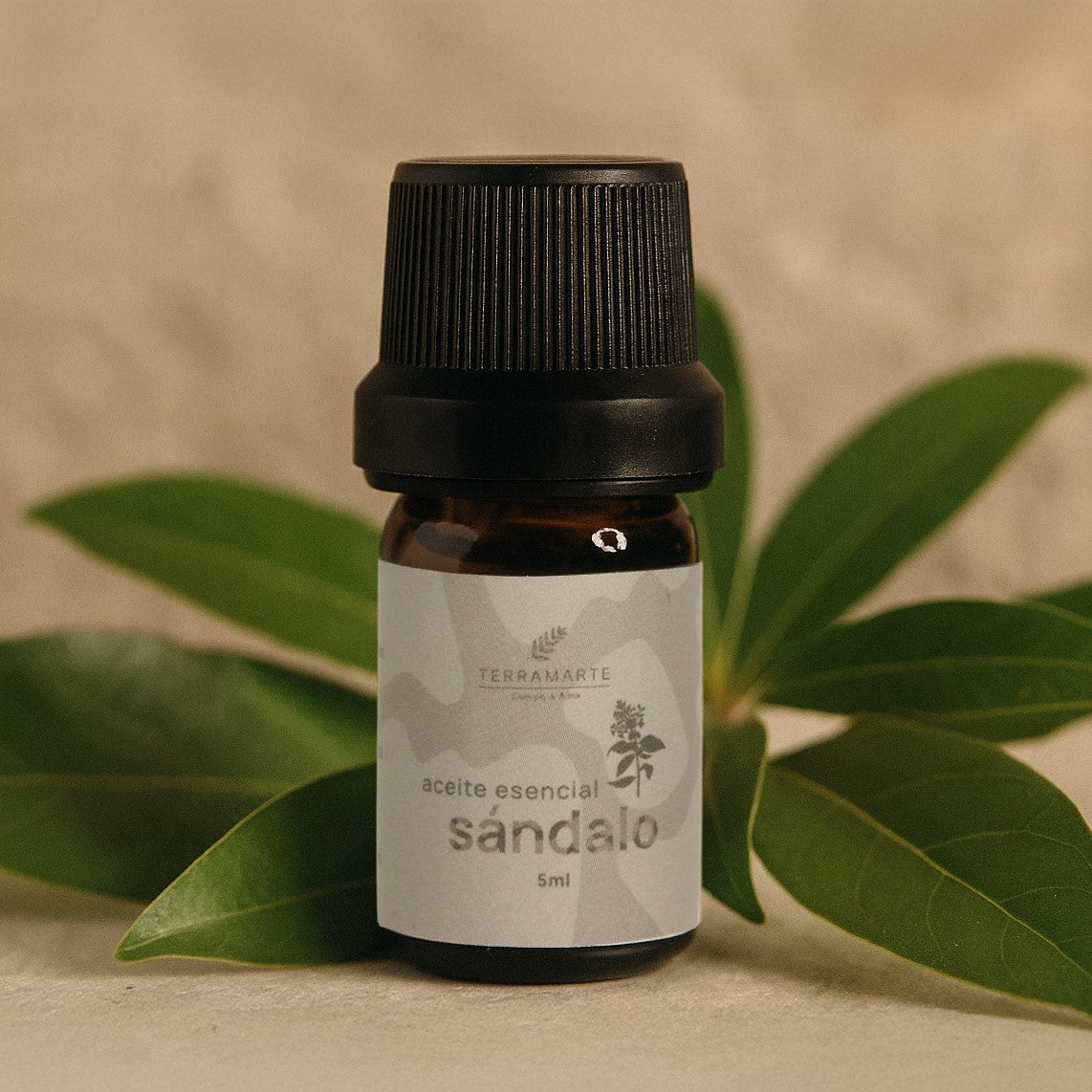 Aceite Esencial de Sándalo