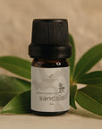 Aceite Esencial de Sándalo