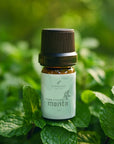 Aceite Esencial de Menta