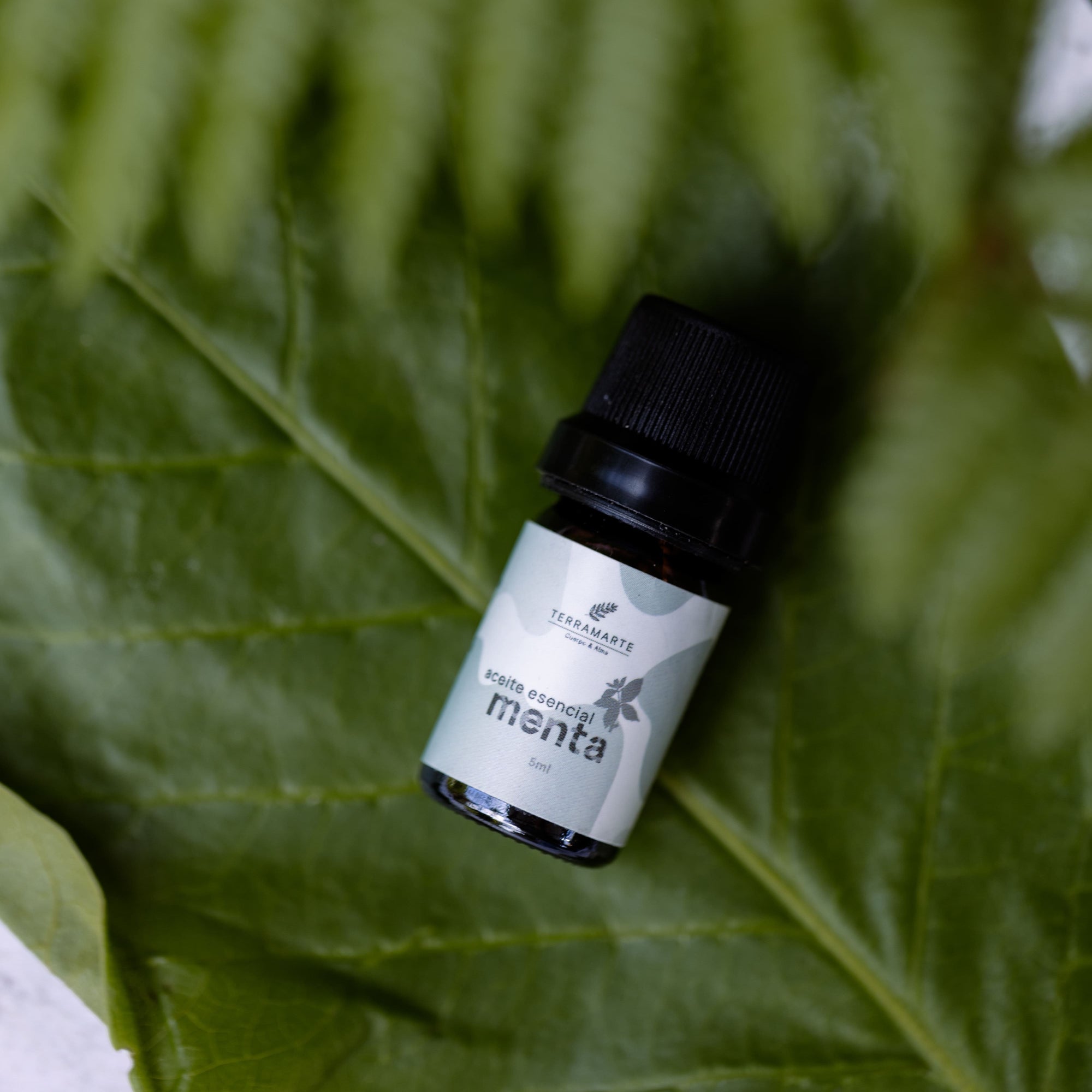 Aceite Esencial de Menta