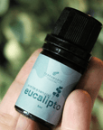 aceite esencial de eucalipto